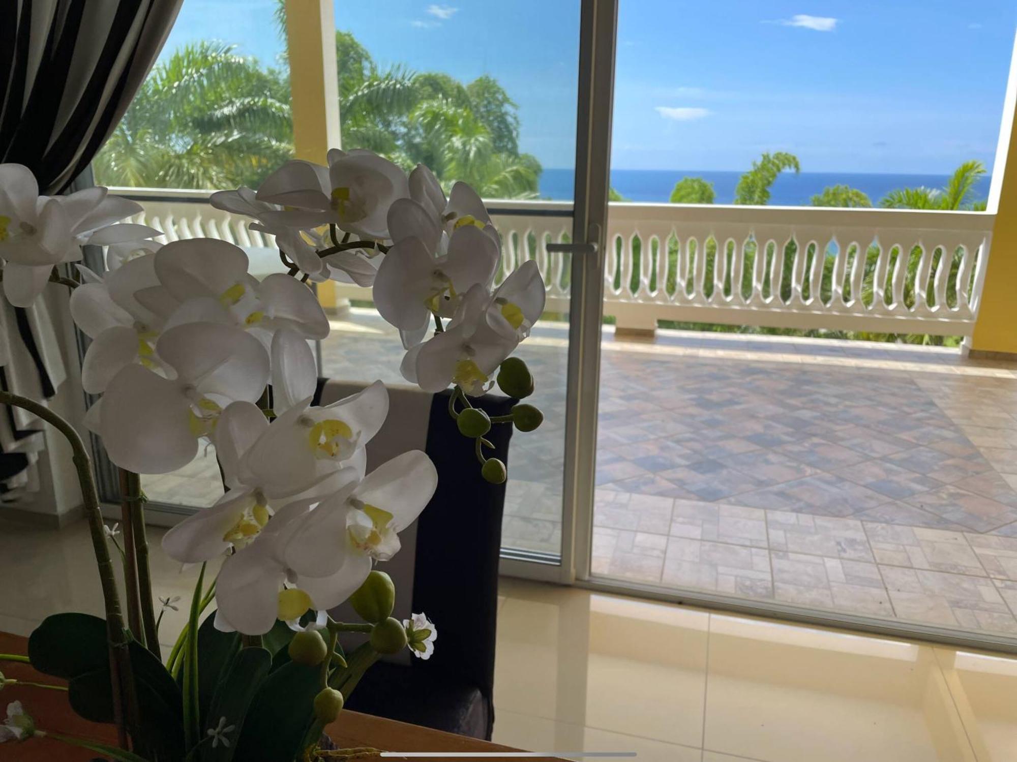 Spring Garden Mobay Resort Бухта Монтего Экстерьер фото